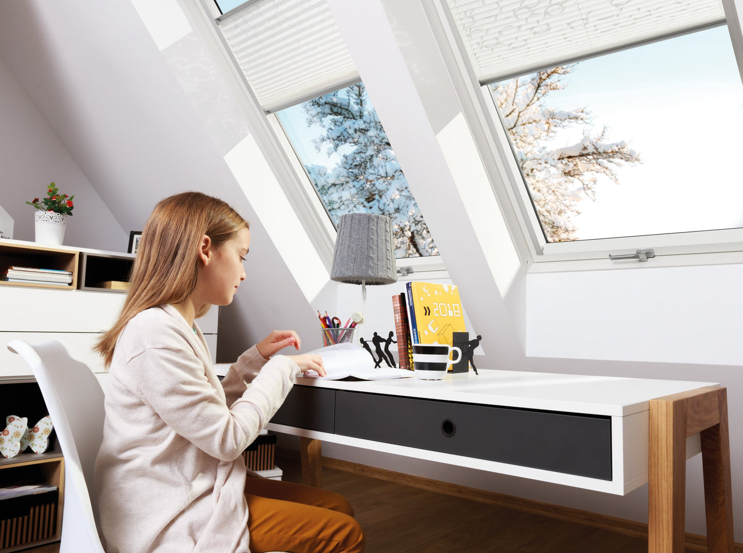 FAKRO dakraam FTW-V U30 AWMX FSC 03 66x98